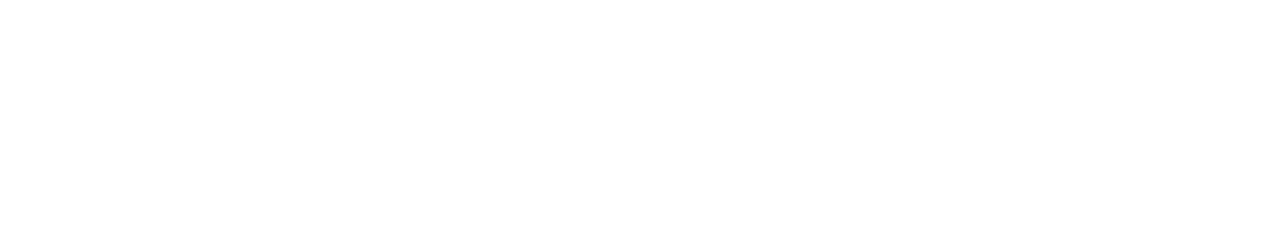 Audio Ollie